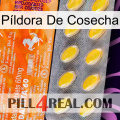 Píldora De Cosecha new05